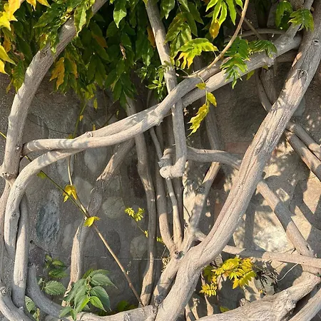 La Casa Di Fini Hébergement de vacances *